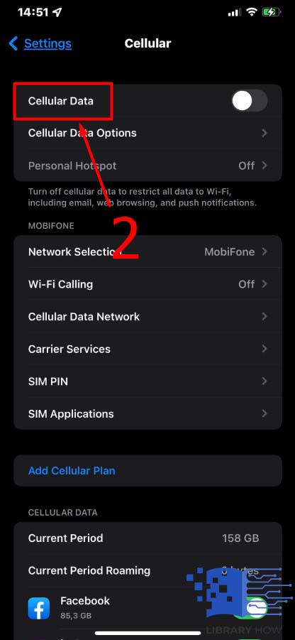 Select the Cellular Data option - Step 2