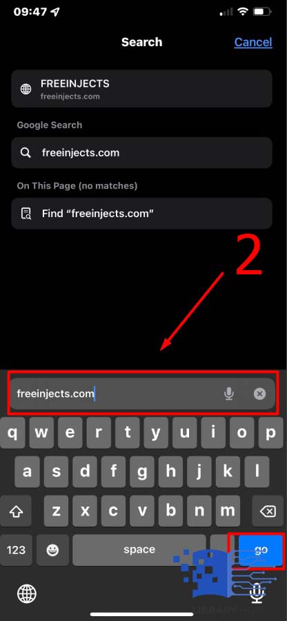 Type freeinjects.com and press Enter - Step 2