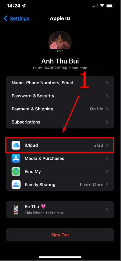 clicking on your name, then on iCloud - Step 1