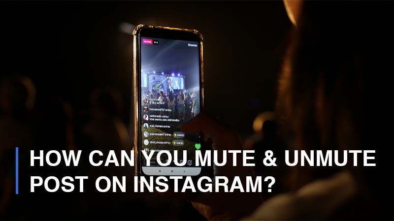 How Can You Mute Or Unmute Post on Instagram