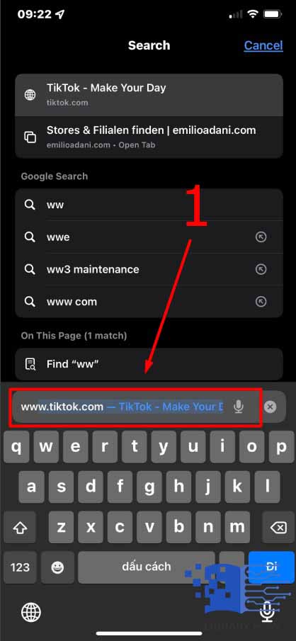 Search for www.TikTok.com on the browser - Step 1