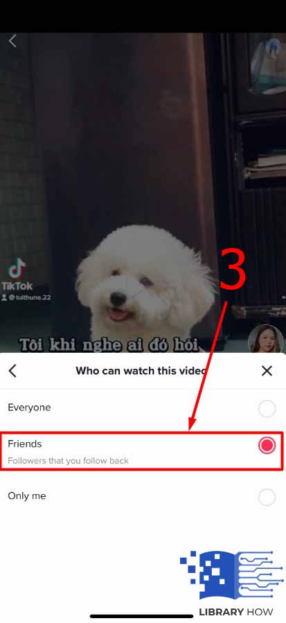 How to Make a TikTok Story Only Visible to Friends - Step 3.2